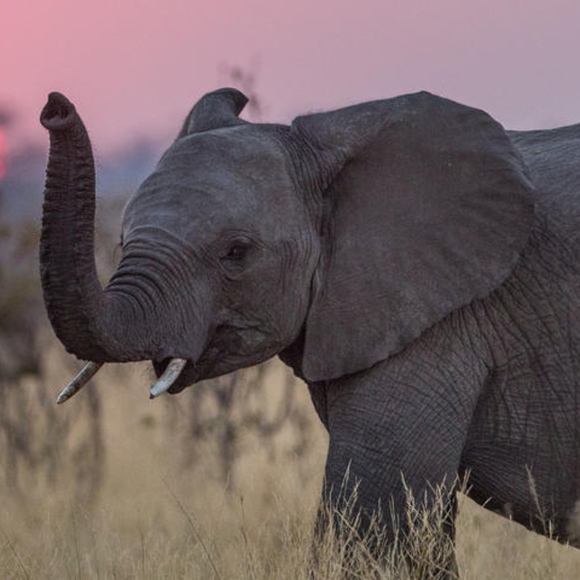 Meet your Posher, Regina - Picture 1 of 1